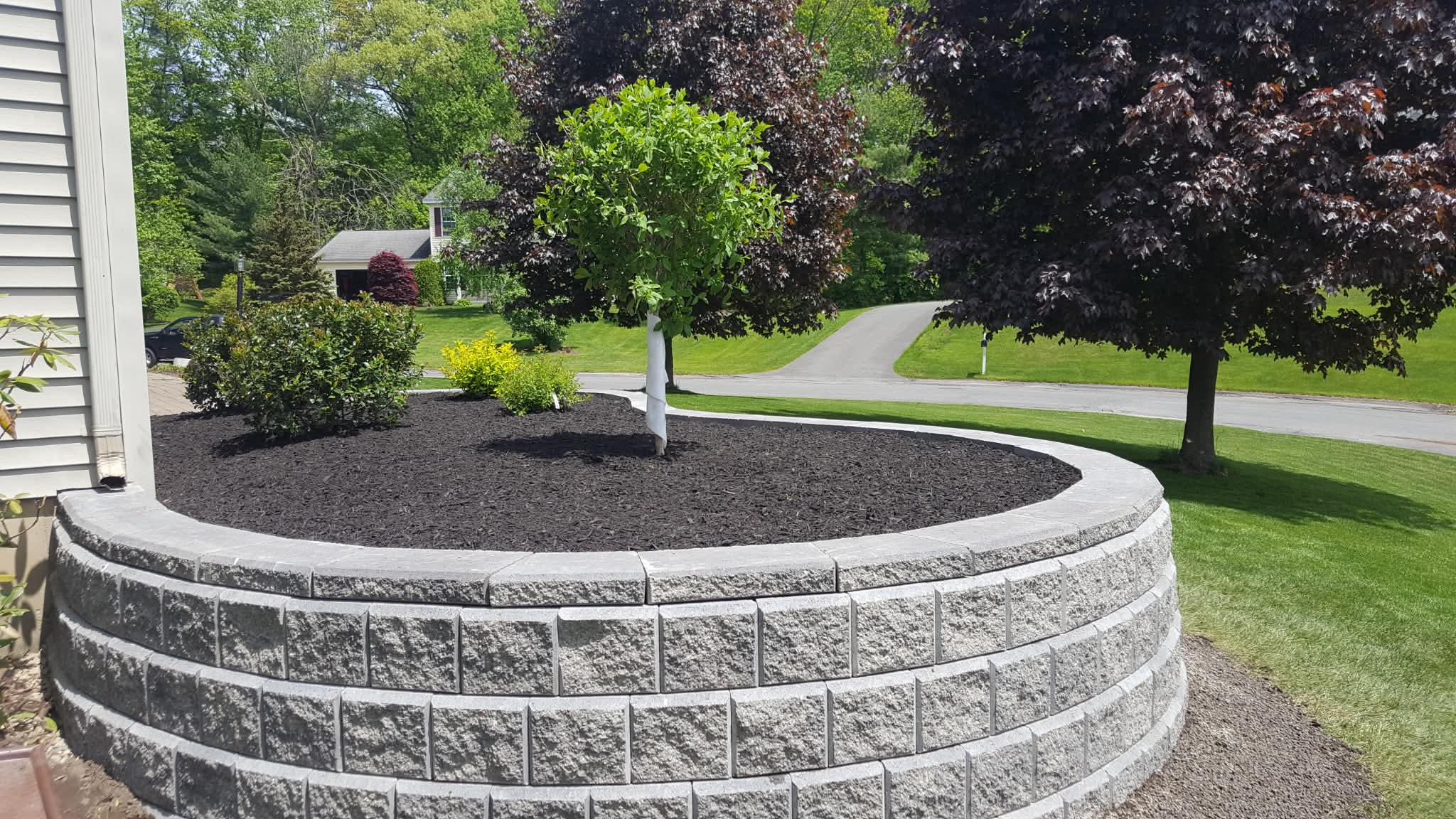 Mulching and yard cleanup