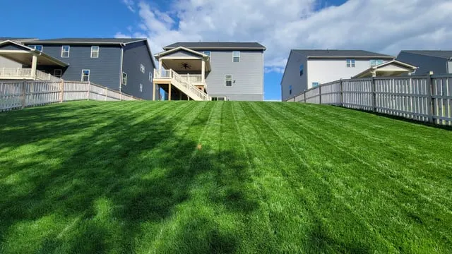 Freshly cut lawn